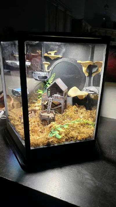 https://makerworld.bblmw.com/makerworld/comment/20260216/736562780/d34c9e92ff3eb739.jpg
