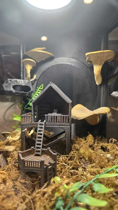 https://makerworld.bblmw.com/makerworld/comment/20260216/736562780/f5c6d18b3cc59b97.jpg