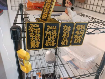 https://makerworld.bblmw.com/makerworld/comment/20260216/911595467/2e2e9076fc12e47b.jpg