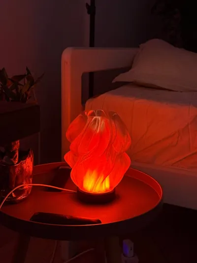 https://makerworld.bblmw.com/makerworld/comment/20260217/1613033677/6c229fa719571c69.jpg