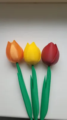 https://makerworld.bblmw.com/makerworld/comment/20260217/1845442867/d19e15de4e37456b.jpg