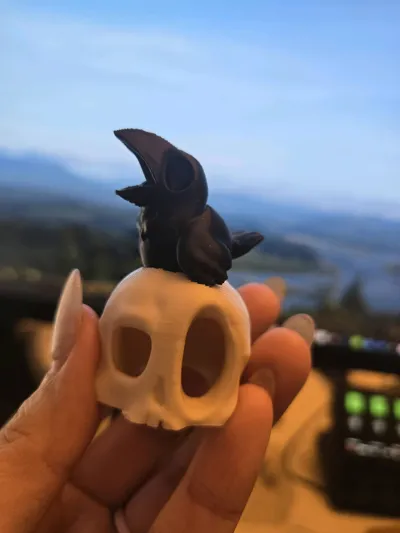 https://makerworld.bblmw.com/makerworld/comment/20260217/2037156793/df1a677c79708e28.jpg