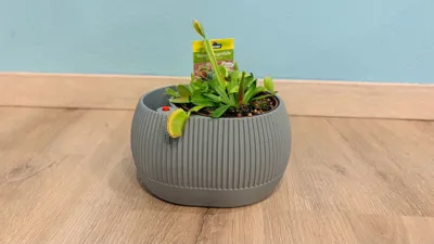 https://makerworld.bblmw.com/makerworld/comment/20260217/2204173513/81f487ed01cb0492.jpg