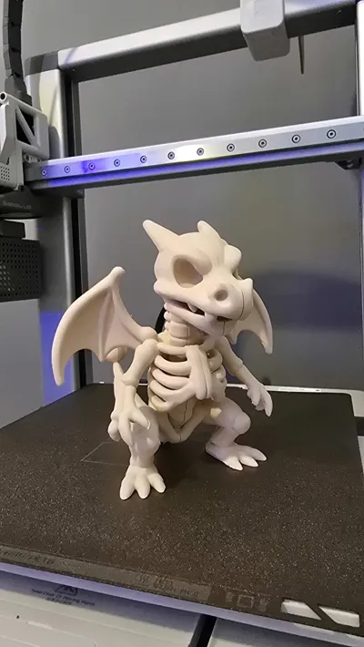 https://makerworld.bblmw.com/makerworld/comment/20260217/2327754487/67c69ff70121bc95.jpg