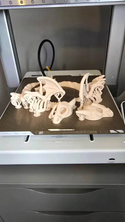 https://makerworld.bblmw.com/makerworld/comment/20260217/2327754487/cfe22b50aa97bd6c.jpg