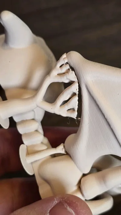 https://makerworld.bblmw.com/makerworld/comment/20260217/2327754487/da539fad5f0e42ce.jpg