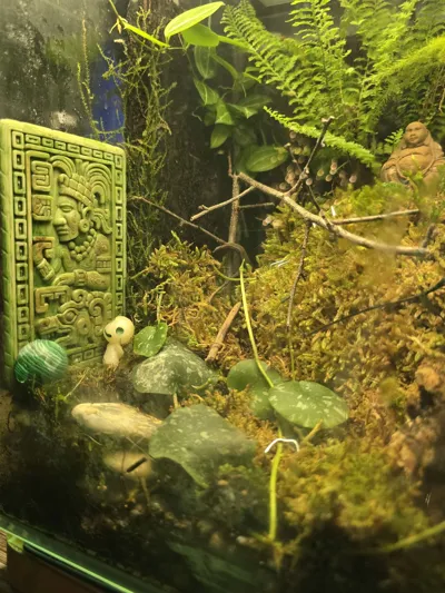 https://makerworld.bblmw.com/makerworld/comment/20260217/2412157856/385db81c4eed997e.jpg