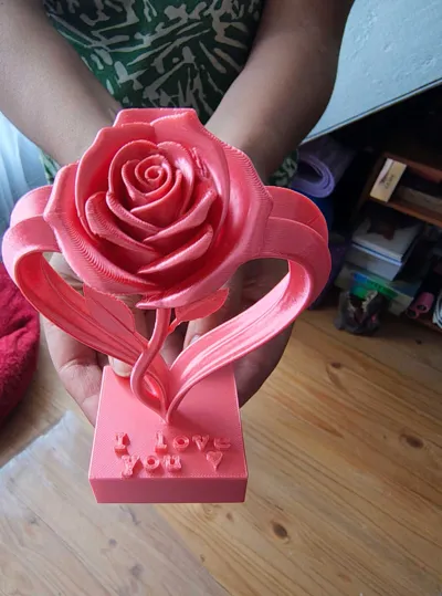 https://makerworld.bblmw.com/makerworld/comment/20260217/2413416735/1a7763863a612dbf.jpg