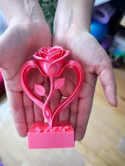https://makerworld.bblmw.com/makerworld/comment/20260217/2413416735/ff03440133d09ec6.jpg