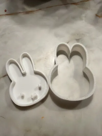 https://makerworld.bblmw.com/makerworld/comment/20260217/2459603501/6801d14e604b6942.jpg
