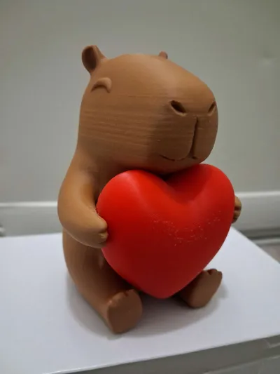 https://makerworld.bblmw.com/makerworld/comment/20260217/2582889266/0765e3f42185f1db.jpg