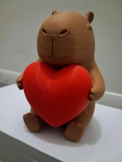 https://makerworld.bblmw.com/makerworld/comment/20260217/2582889266/9b098a7101bac313.jpg