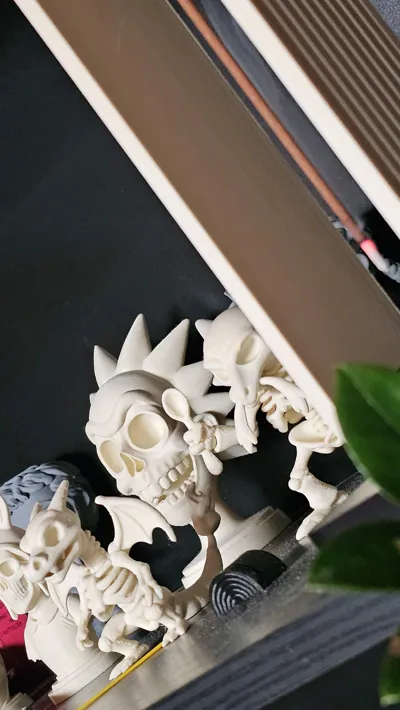 https://makerworld.bblmw.com/makerworld/comment/20260217/2616269477/c664b52adbc26ad5.jpg