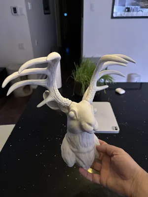 https://makerworld.bblmw.com/makerworld/comment/20260217/2668264092/542266fa4b0db33f.jpeg