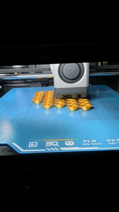https://makerworld.bblmw.com/makerworld/comment/20260217/2842091403/e312dc45a260b88a.jpg