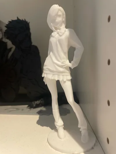 https://makerworld.bblmw.com/makerworld/comment/20260217/287395765/c43eba54d1d30cde.jpg