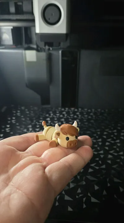 https://makerworld.bblmw.com/makerworld/comment/20260217/2988673541/aa3acbcf85882094.jpg