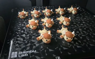 https://makerworld.bblmw.com/makerworld/comment/20260217/2988673541/e8e3e28fca196ea7.jpg