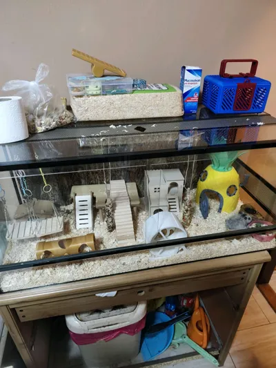 https://makerworld.bblmw.com/makerworld/comment/20260217/2997039093/b0a941f53eb75997.jpg