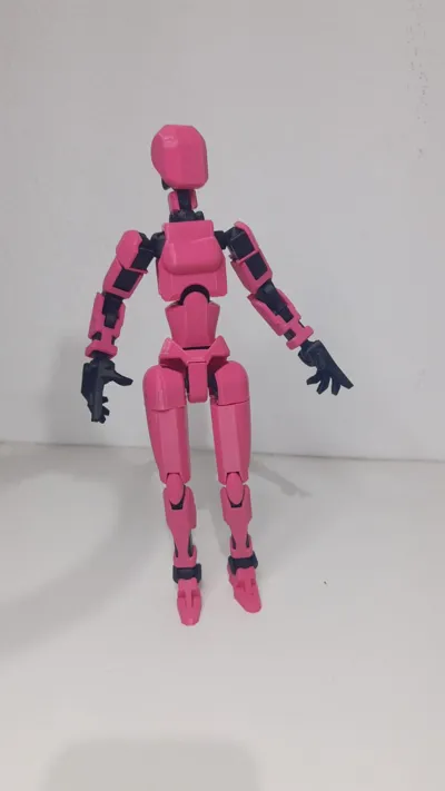https://makerworld.bblmw.com/makerworld/comment/20260217/3100250205/eeac0538fd4d9d2a.jpeg