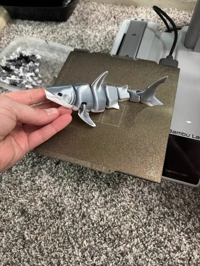 https://makerworld.bblmw.com/makerworld/comment/20260217/3211045215/6eb1bd339672337a.jpg
