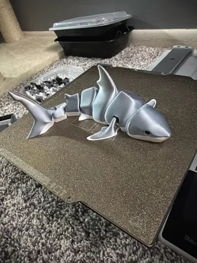 https://makerworld.bblmw.com/makerworld/comment/20260217/3211045215/e4786e9722d00c06.jpg