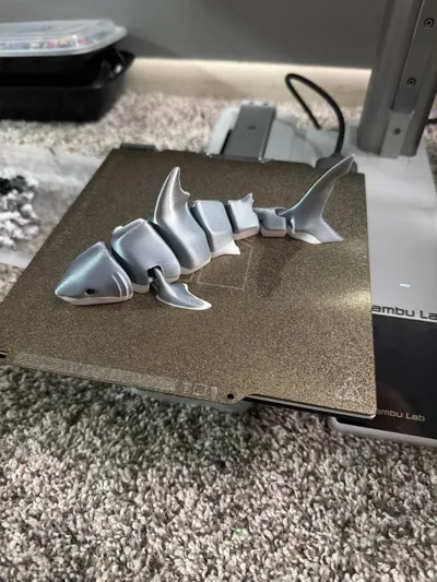 https://makerworld.bblmw.com/makerworld/comment/20260217/3211045215/fcf4e543931d9f6e.jpg