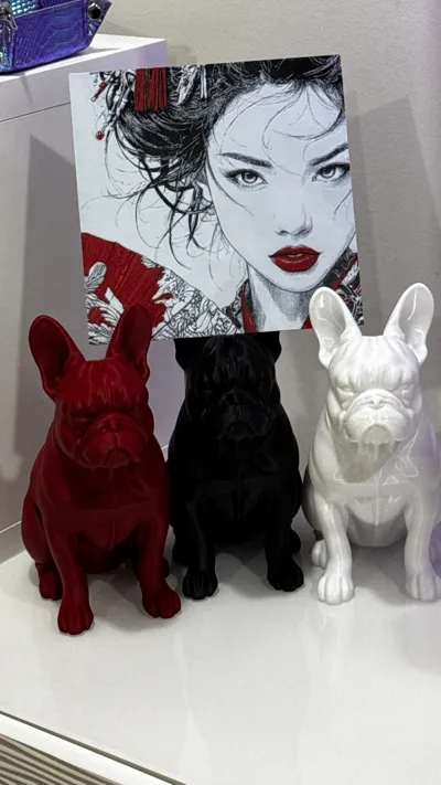 https://makerworld.bblmw.com/makerworld/comment/20260217/3279669498/e35600627b131fab.jpeg