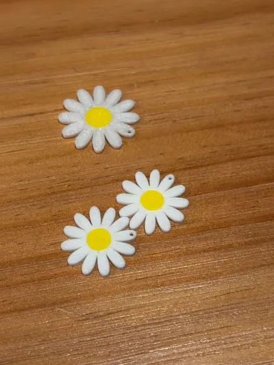 https://makerworld.bblmw.com/makerworld/comment/20260217/3408212442/eecddd321e111e09.jpg