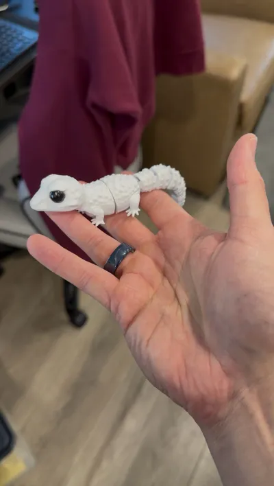 https://makerworld.bblmw.com/makerworld/comment/20260217/3419069550/45a1b1e1870f667a.jpg