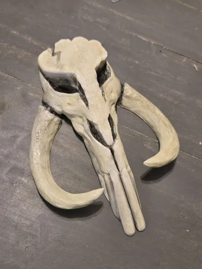 https://makerworld.bblmw.com/makerworld/comment/20260217/3489571770/cda96baa9ac43982.jpg