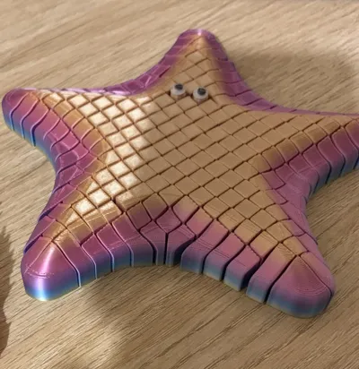 https://makerworld.bblmw.com/makerworld/comment/20260217/3540369943/cd6bd892dc5ee447.jpg
