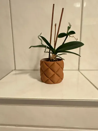 https://makerworld.bblmw.com/makerworld/comment/20260217/3543263212/7191f9c537b3021d.jpg