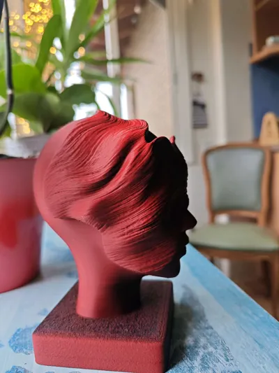 https://makerworld.bblmw.com/makerworld/comment/20260217/3543969724/2be28eda70595305.jpg