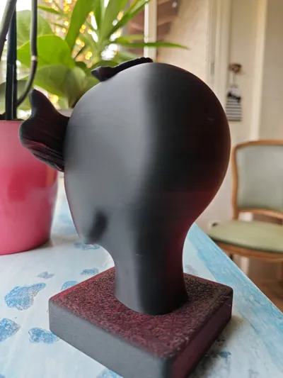https://makerworld.bblmw.com/makerworld/comment/20260217/3543969724/677acbaf9807aecd.jpg