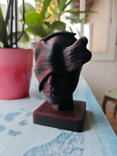 https://makerworld.bblmw.com/makerworld/comment/20260217/3543969724/6d93354e6476d535.jpg