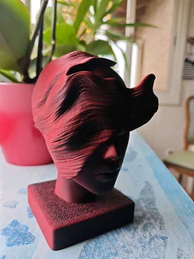 https://makerworld.bblmw.com/makerworld/comment/20260217/3543969724/e5ccfa541c16b3b6.jpg