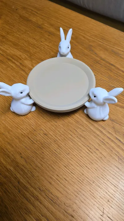 https://makerworld.bblmw.com/makerworld/comment/20260217/3942549083/7e3218d83a6512a9.jpg
