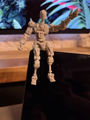 https://makerworld.bblmw.com/makerworld/comment/20260217/3962520043/b562888bafccb036.jpg