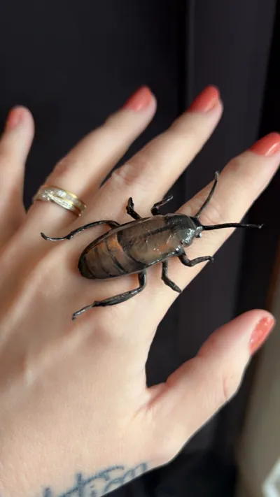 https://makerworld.bblmw.com/makerworld/comment/20260217/4021008996/dabcddda01117e0e.jpg