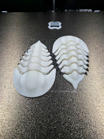 https://makerworld.bblmw.com/makerworld/comment/20260217/65007324/e5da090a0e2a2fe1.jpg