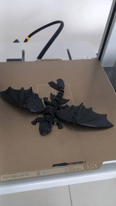 https://makerworld.bblmw.com/makerworld/comment/20260217/67762077/8bb34692d33ea891.jpg