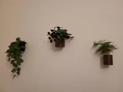 https://makerworld.bblmw.com/makerworld/comment/20260217/845690536/483416dfb84a881b.jpg