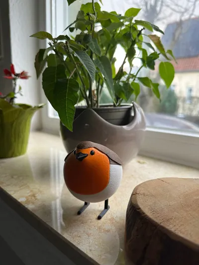 https://makerworld.bblmw.com/makerworld/comment/20260218/1010665602/222d08959101e412.jpg