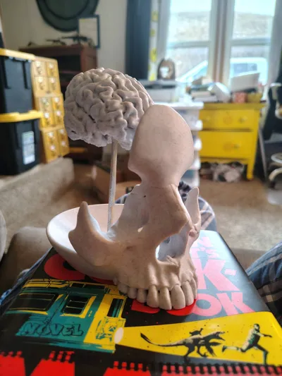 https://makerworld.bblmw.com/makerworld/comment/20260218/1105196373/875089a7198584e8.jpg