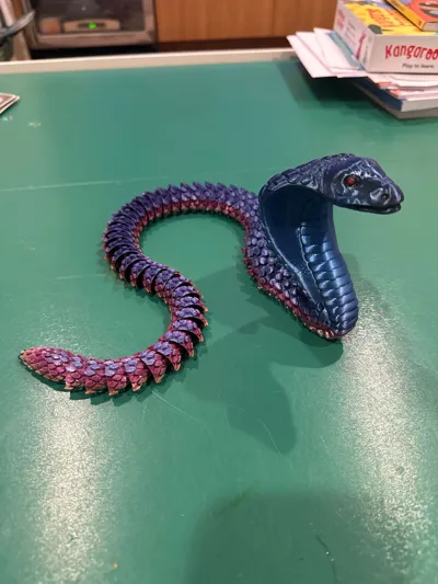 https://makerworld.bblmw.com/makerworld/comment/20260218/1221923894/73b5d3aa098d61f8.jpg