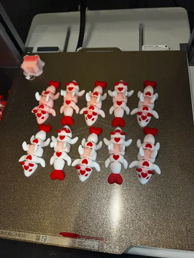 https://makerworld.bblmw.com/makerworld/comment/20260218/131463326/32c77e2971749267.jpg
