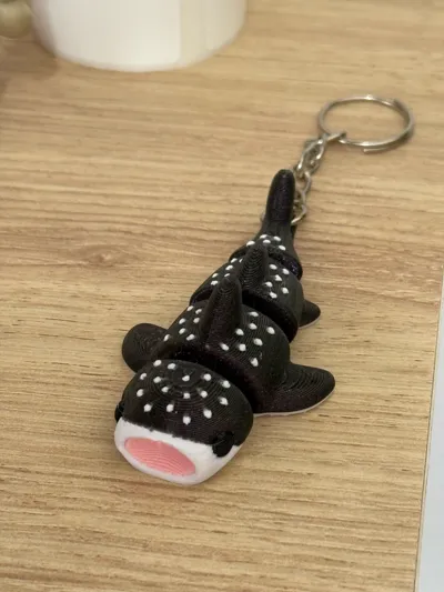 https://makerworld.bblmw.com/makerworld/comment/20260218/1714026150/75bd0dcfbcb7300c.jpg