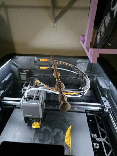 https://makerworld.bblmw.com/makerworld/comment/20260218/1828650932/ccb0ff0392b853db.jpg