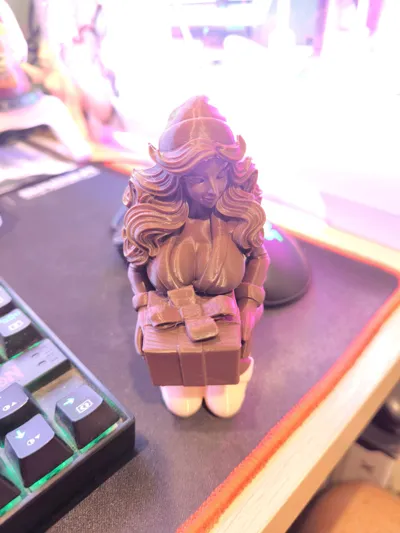 https://makerworld.bblmw.com/makerworld/comment/20260218/2158609589/e76eae93ed628b61.jpg